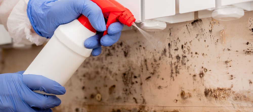 Removing Mold From Internal Wall