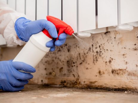 Removing Mold From Internal Wall