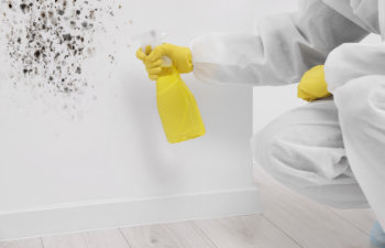 woman in protective suit and rubber gloves using mold remover