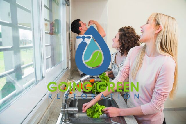 Choose an Eco-Friendly Water Damage Restoration Company in Orlando?