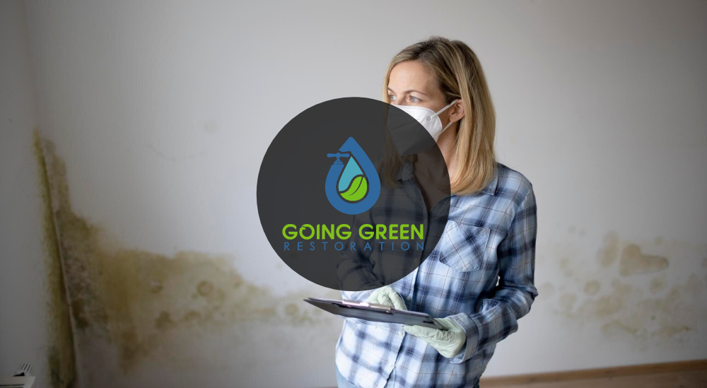 How to Prevent Mold Growth After Water Damage in Orlando