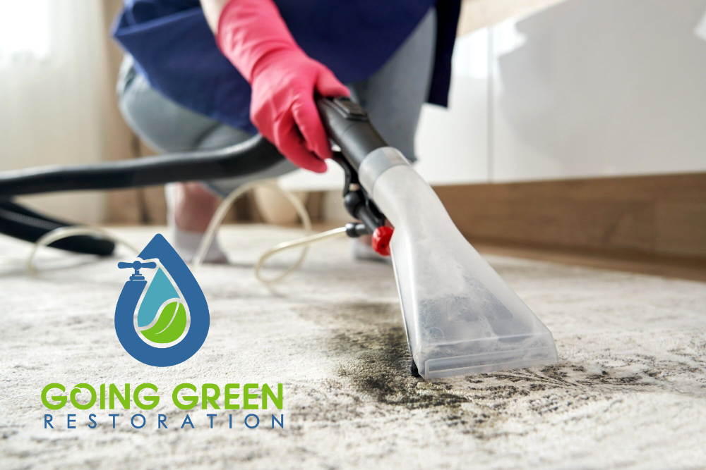 How to Prevent Mold Growth After Water Damage in Orlando