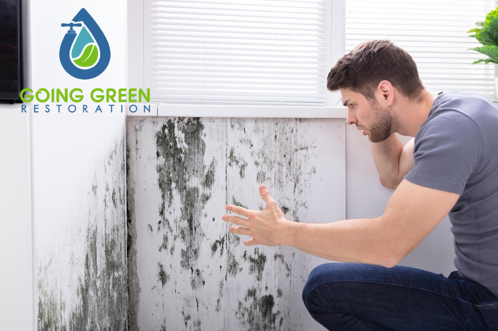 How to Prevent Mold Growth After Water Damage in Orlando