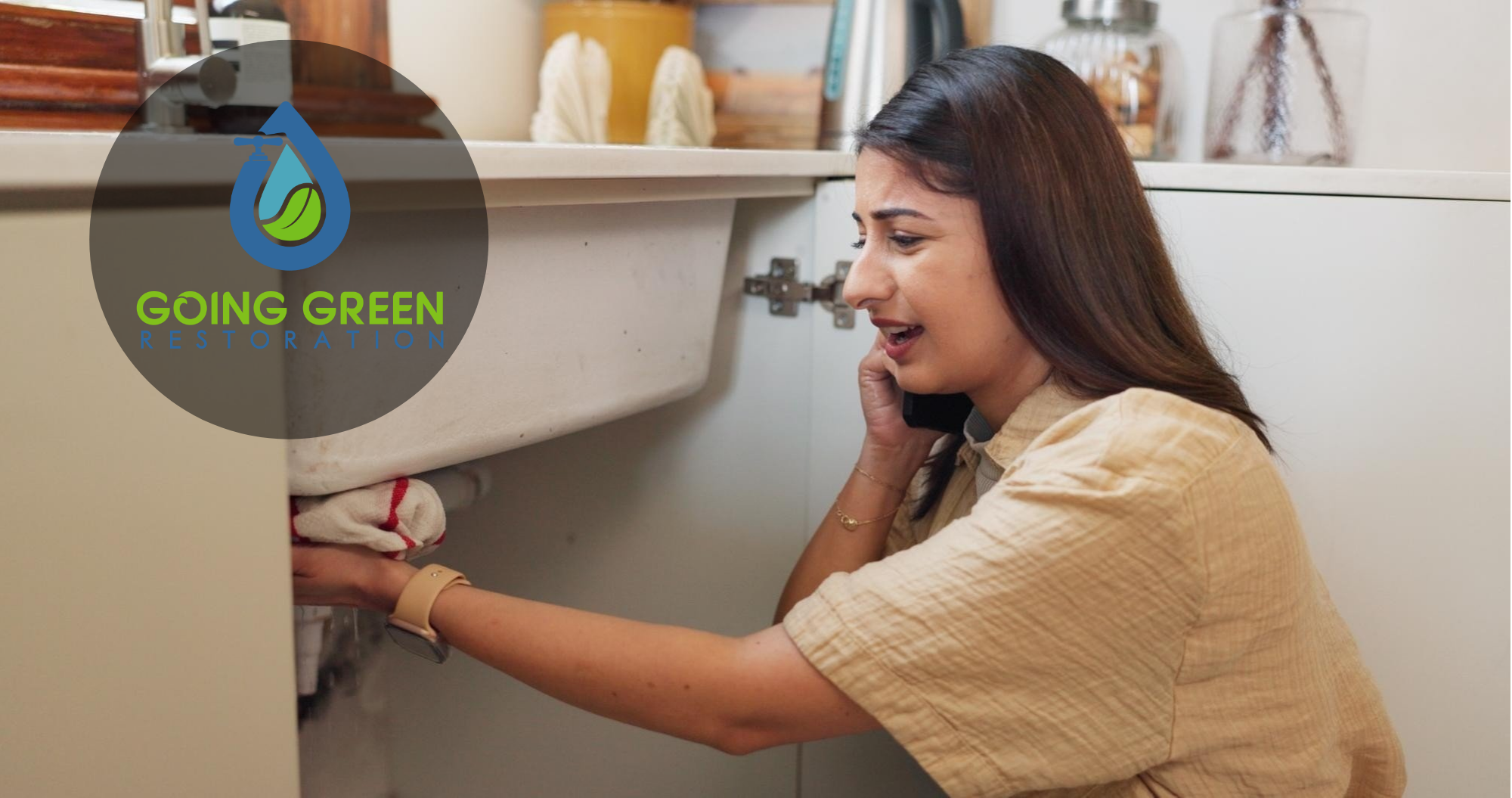 Mold Removal Orlando