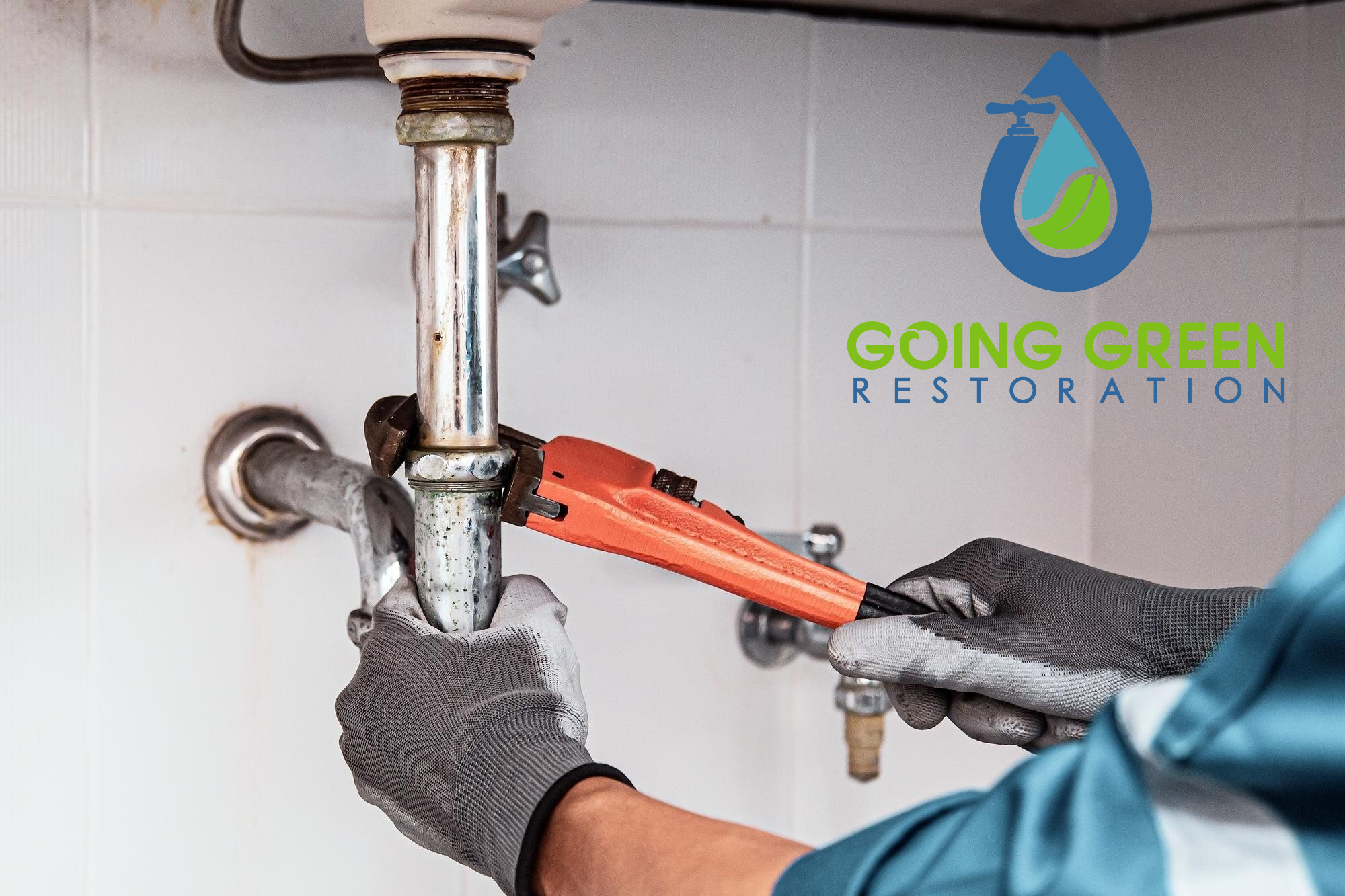 Mold Removal Orlando