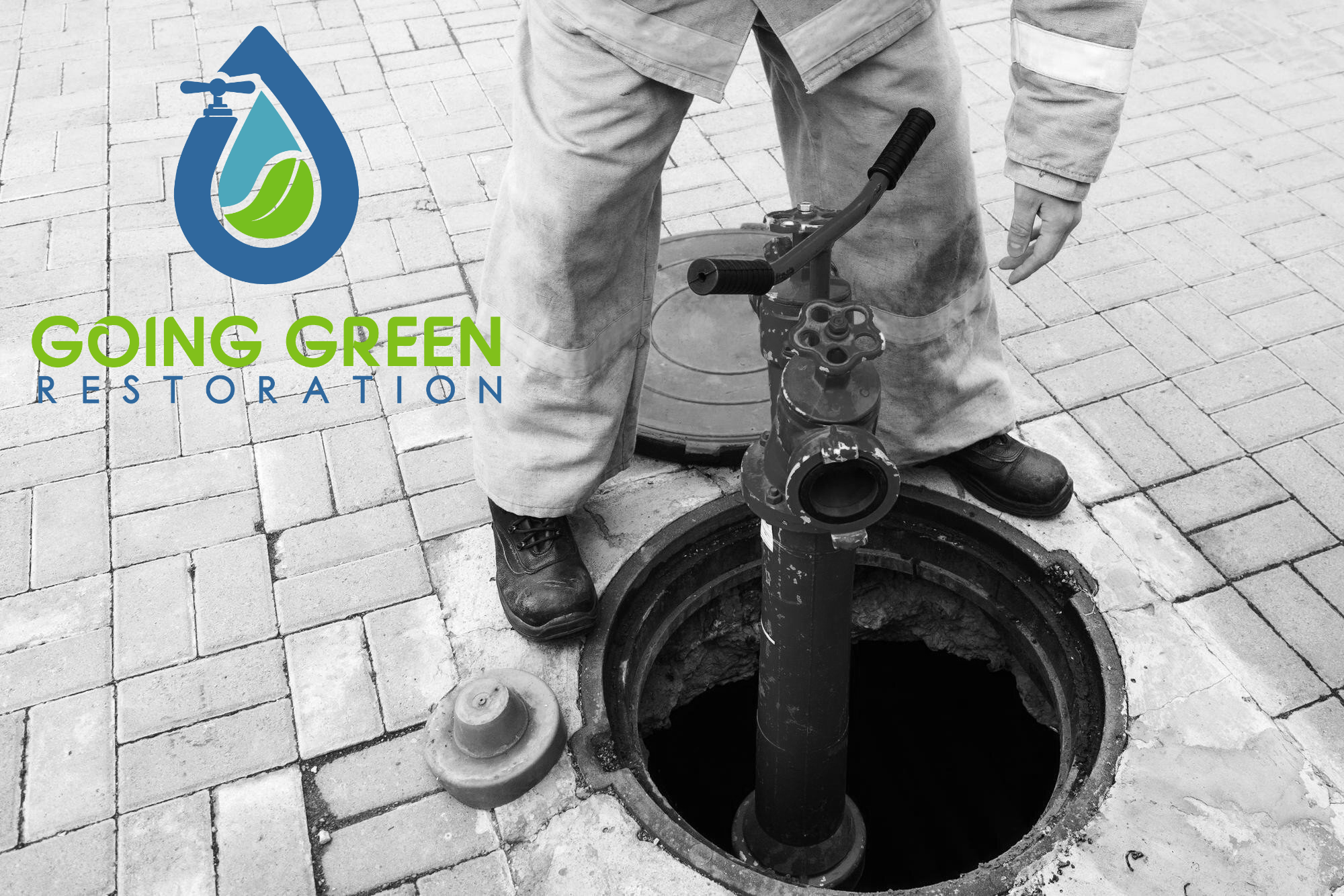 Mold Removal Orlando 