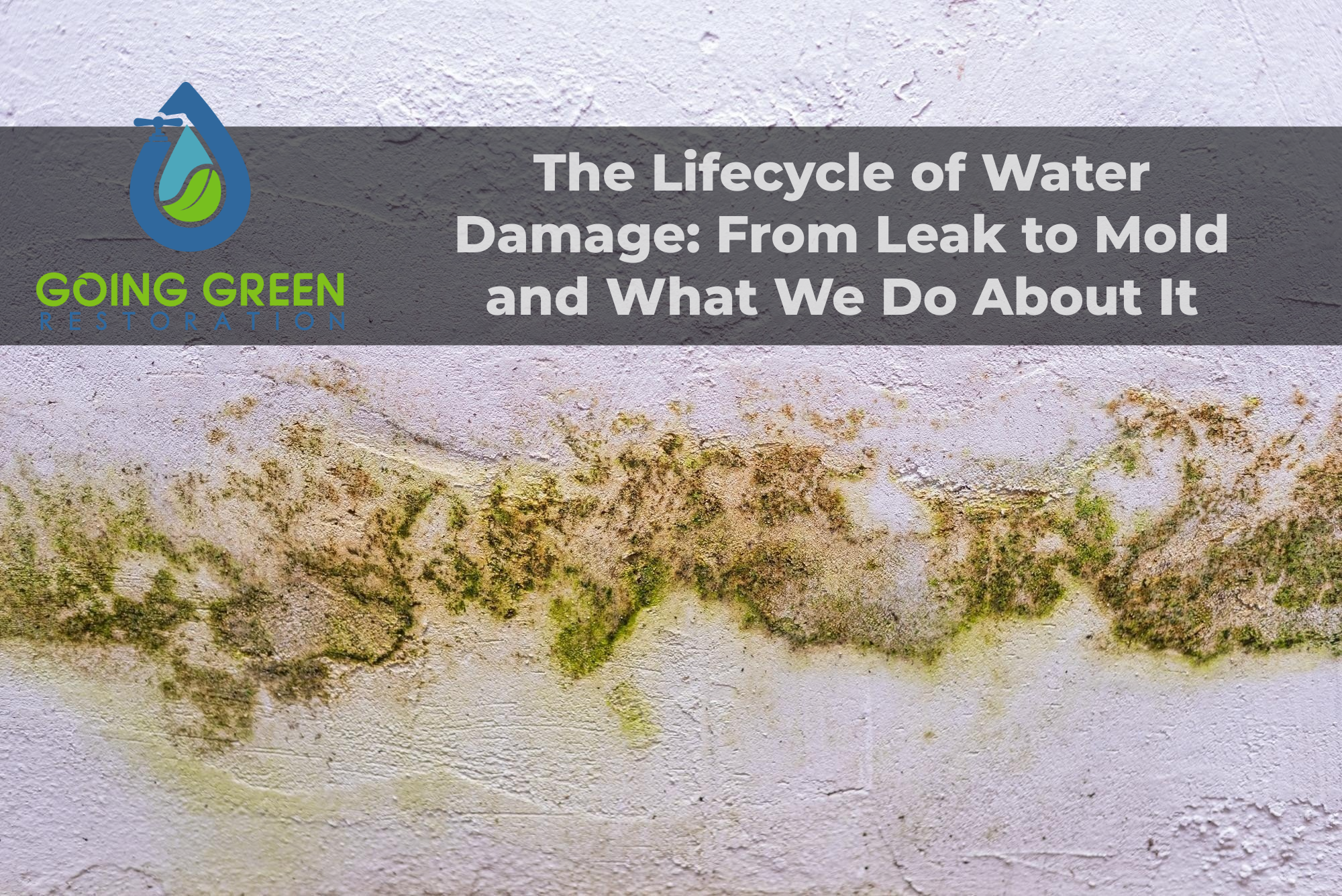 Orlando water clean up & restoration