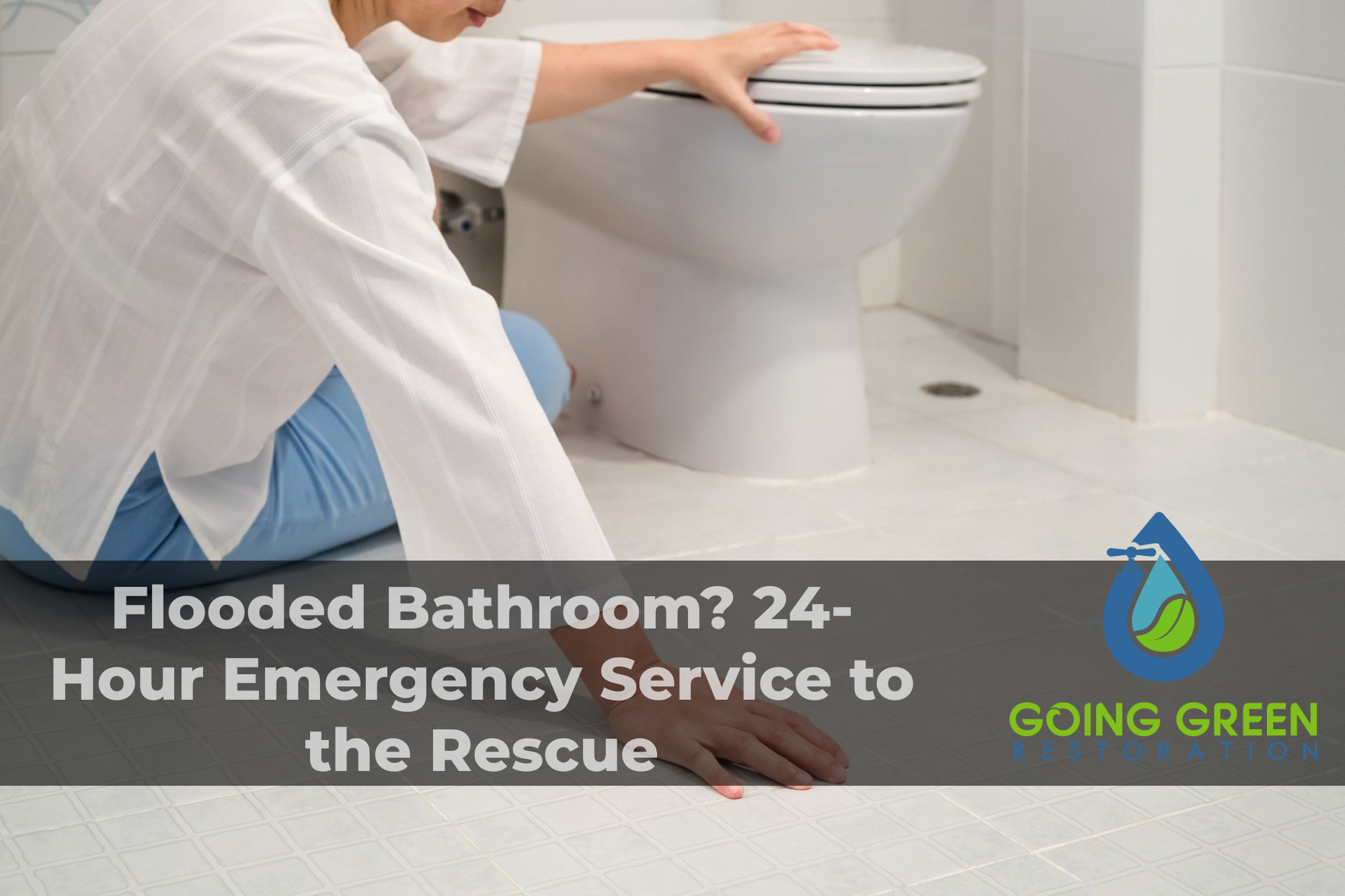 24 hour mold removal services Orlando