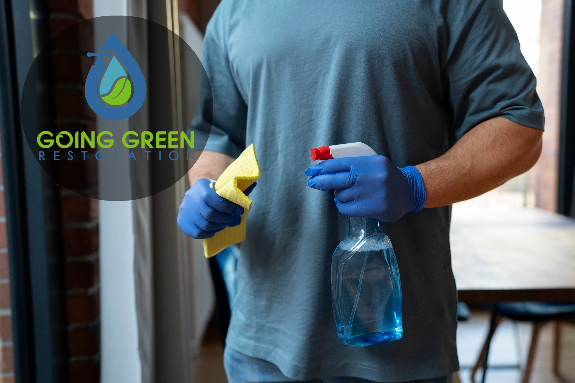 24 hour mold removal services Orlando