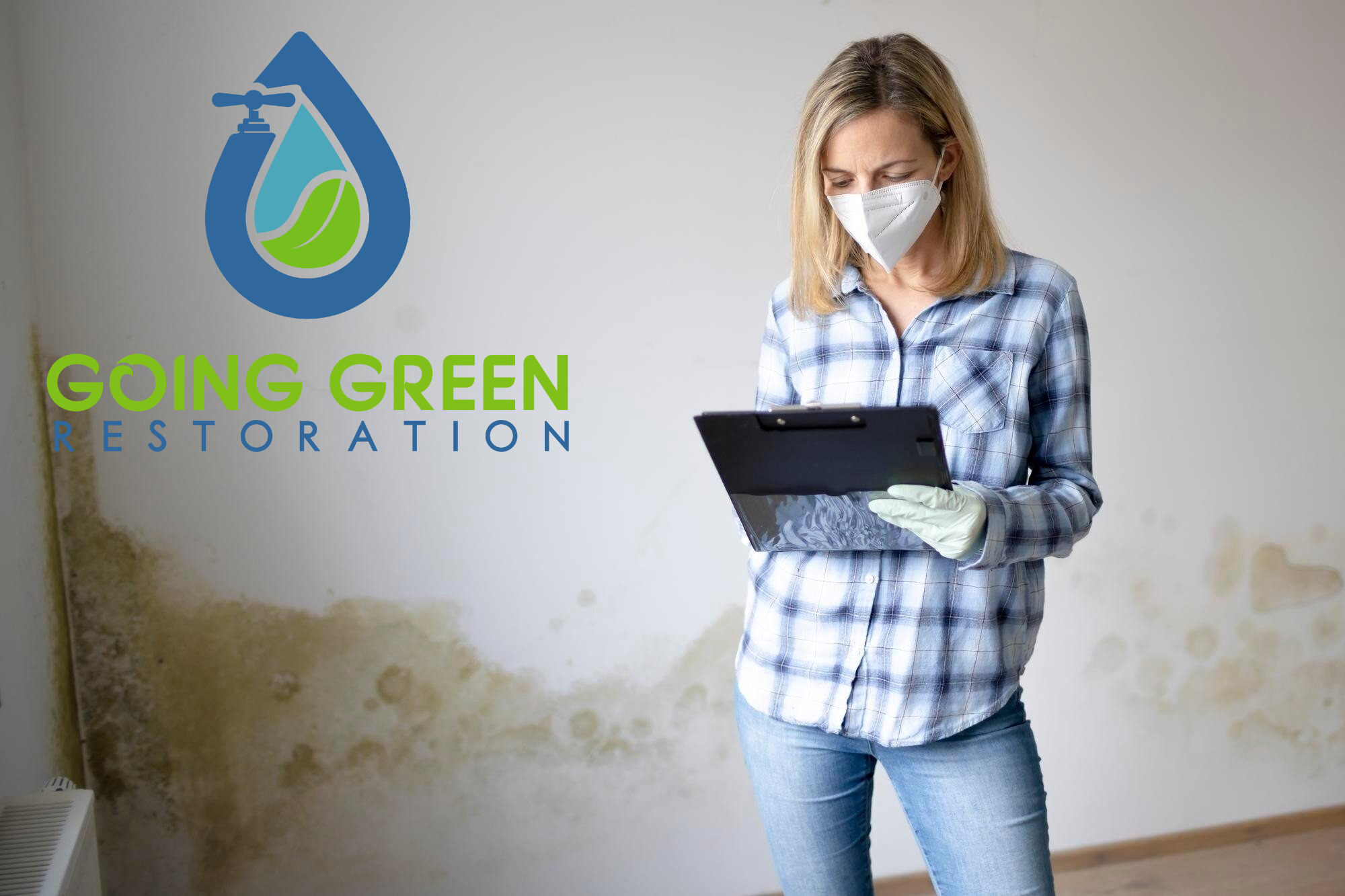 24 hour mold removal services Orlando
