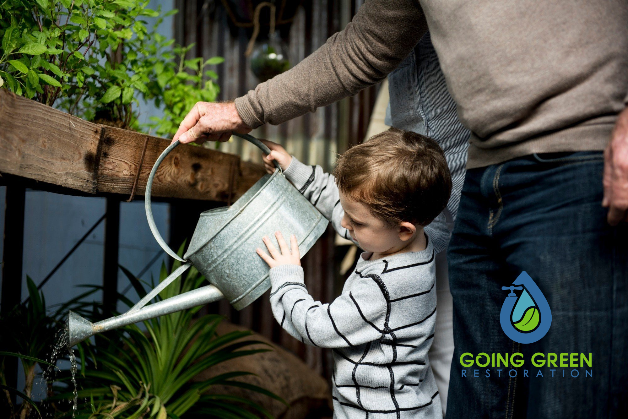 Orlando Emergency Mold Remediation