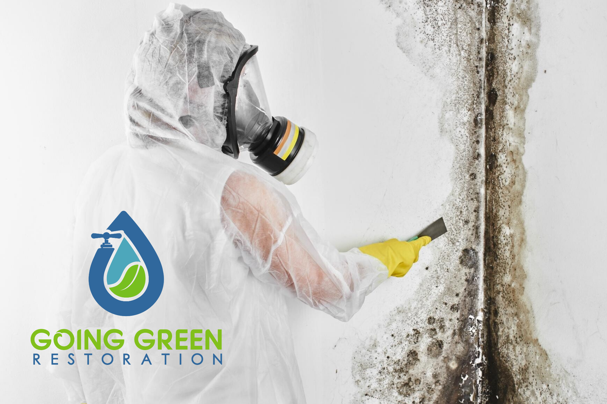 Orlando Emergency Mold Remediation