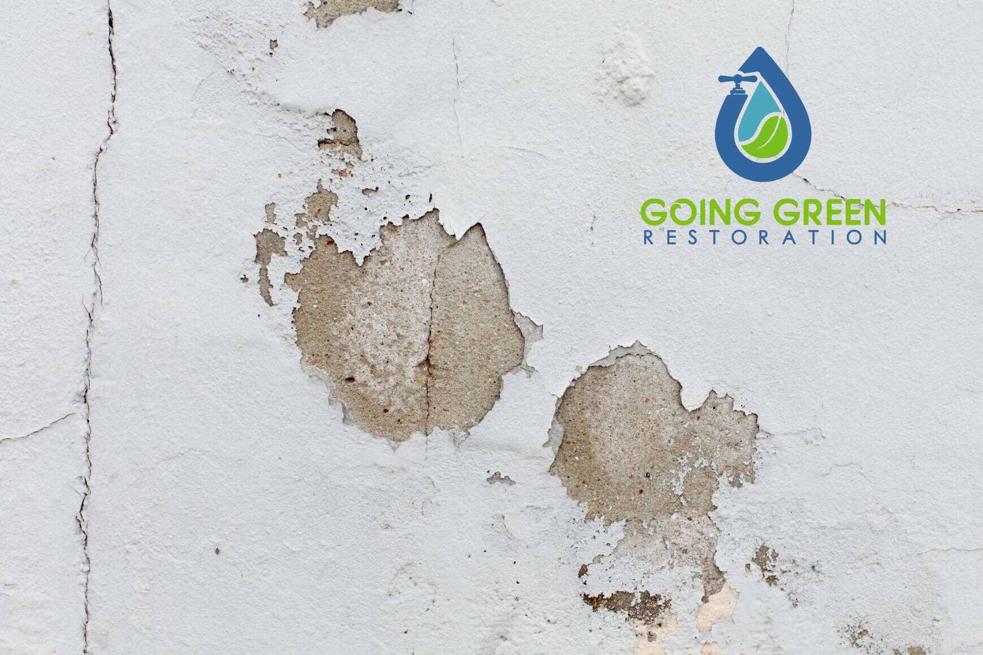 Orlando Emergency Mold Remediation