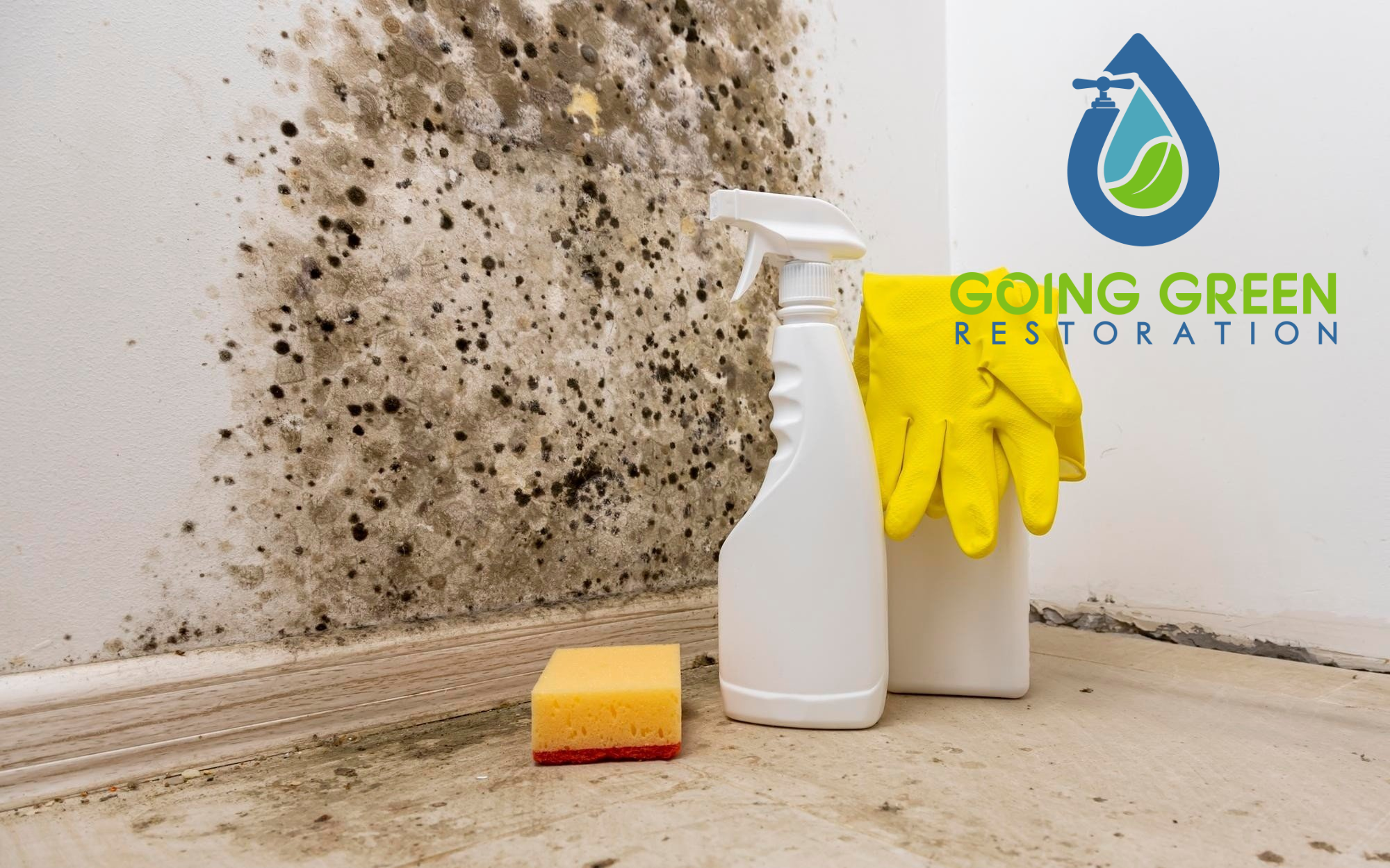 Orlando Water Damage Restoration