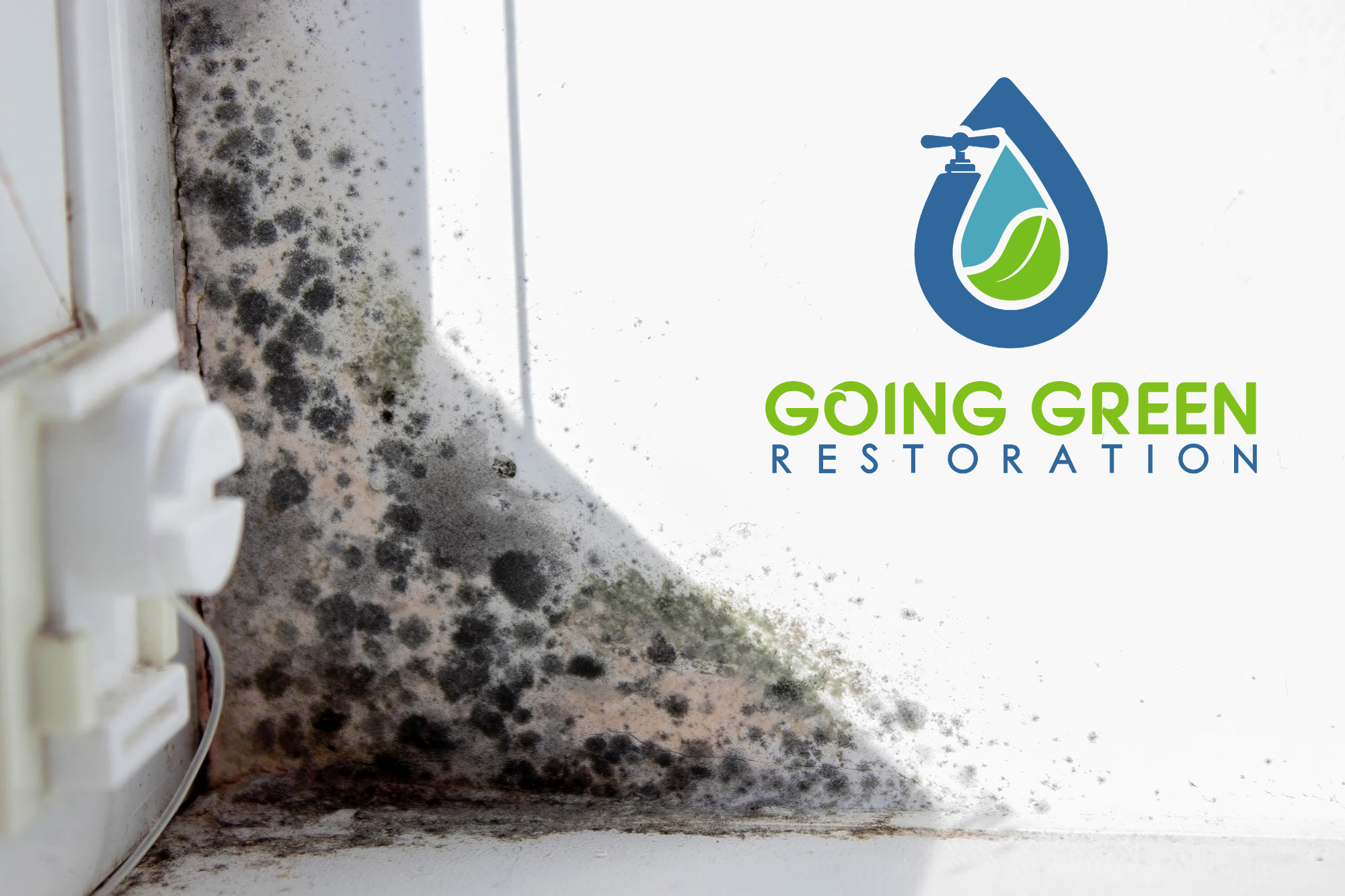 24 Hour Mold Removal Services Orlando