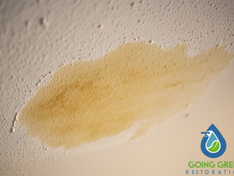Water Damage Repair Orlando
