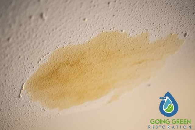 Water Damage Repair Orlando
